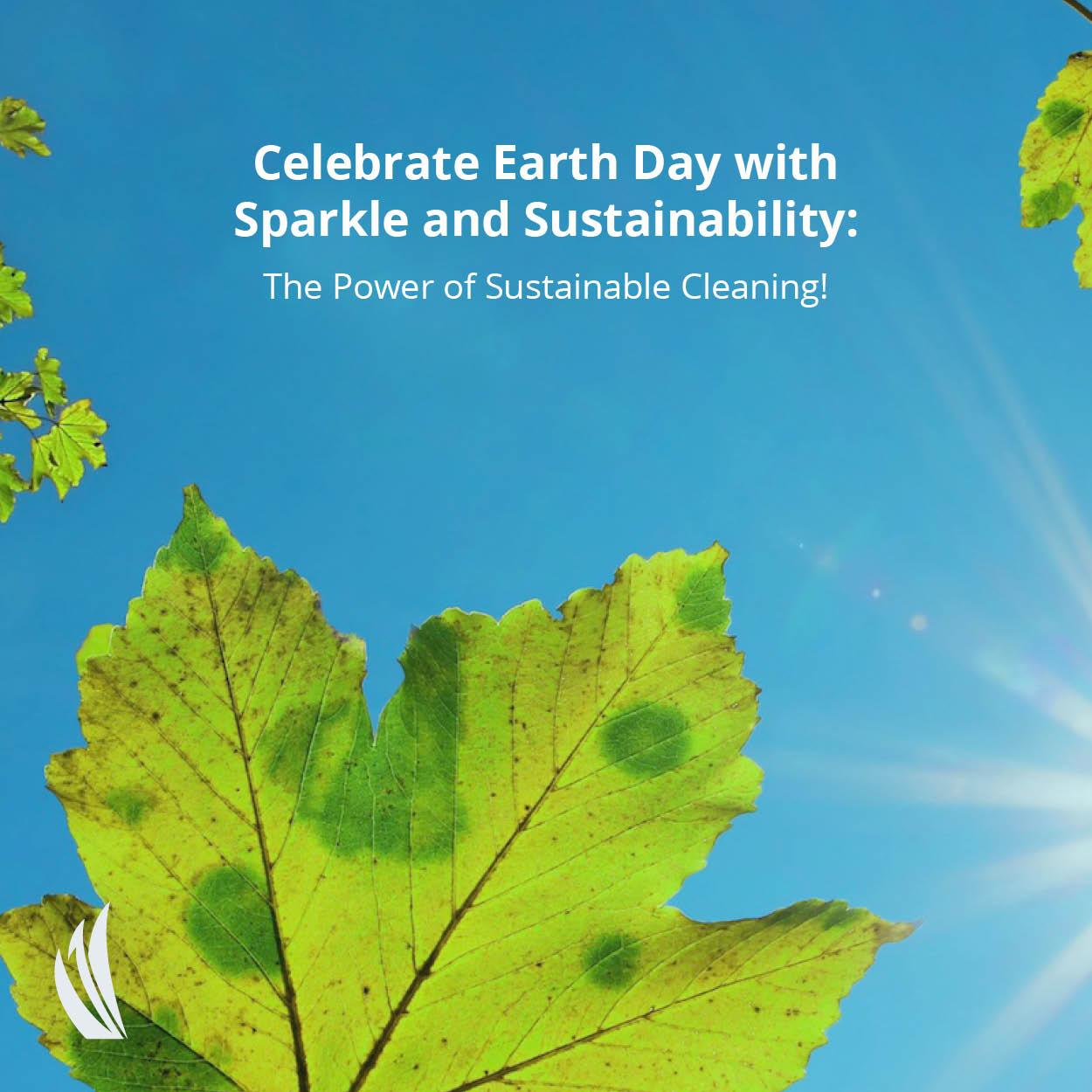Celebrate Earth Day with Sparkle and Sustainability: The Power of Sustainable Cleaning!