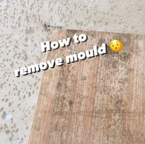 360 Active Spray