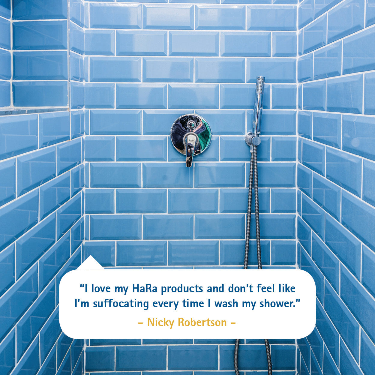 Products for the sterilisation of the lavatory