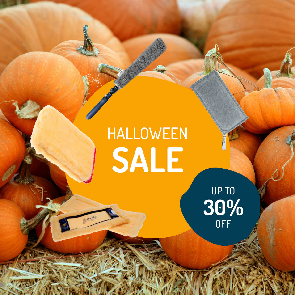 Spooktacular Savings: Celebrate Halloween with Discounts on Orange and Grey Cleaning Products!