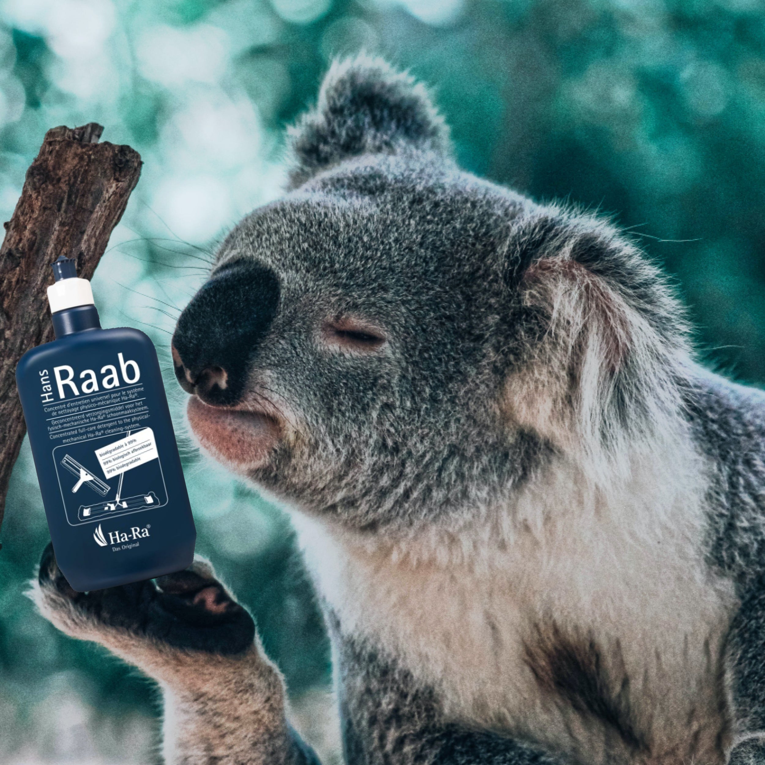 Cleaning Myths Debunked: Why You Don’t Need Harsh Chemicals to Get a Deep Clean